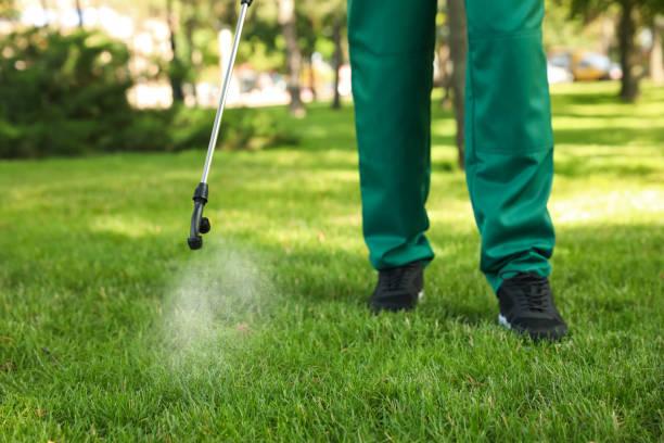 Best Pest Removal Services  in Chesapeake, VA