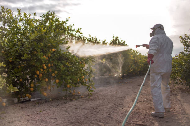 Best Bed Bug Extermination  in Chesapeake, VA